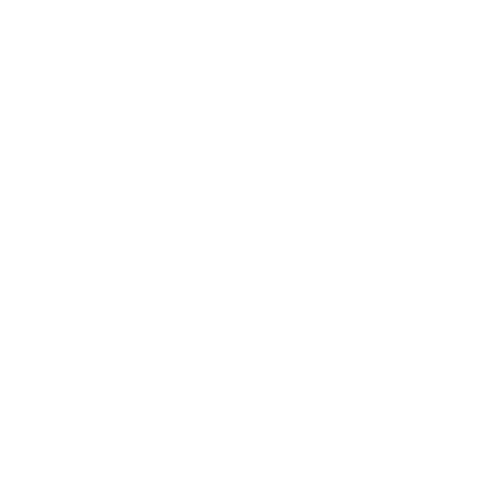 Weißes WordPress-Logo auf transparentem Hintergrund von LocalWebStore - Ihre Webentwicklung und Social Media Agentur